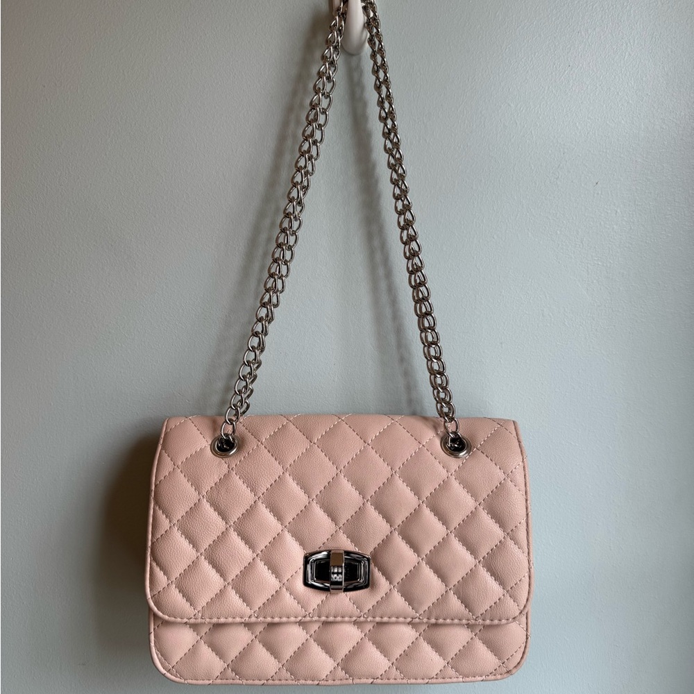 Express Pink Purse